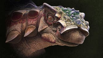 Spiky Utah dinosaur had more than ‘a face only a mother could love’