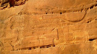 IN PICTURES: What’s the story behind ancient lion engravings in Saudi Arabia?