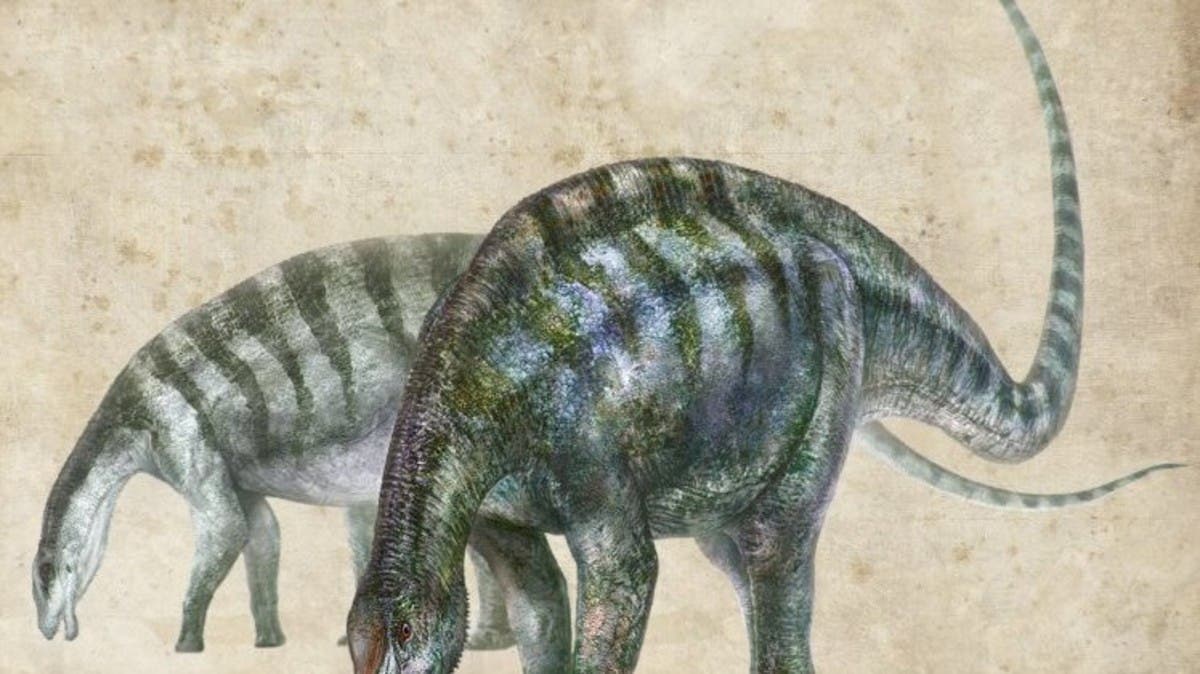 اكتشاف علمي يعيد كتابة تاريخ الديناصورات من جديد 79338aa4-8b7c-428a-8cde-1efea4e0a209_16x9_1200x676