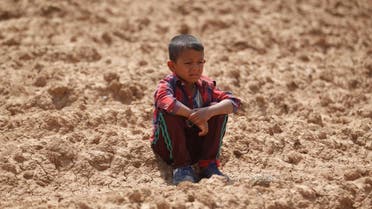An Iraqi boy sits in an agricultural field north of Mosul. (Reuters)