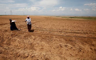 Iraqi farmers work in their fields north of Mosul. (Reuters)