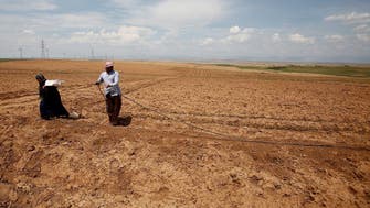 Iraqi farmers in distress as severe water shortages affect wheat harvest 