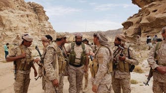 Yemeni army advances in Hodeidah, seizes significant territory in Saada