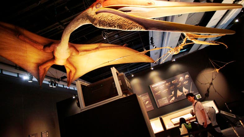 200-million-year-old pterosaur species ‘built for flying’ discovered ...