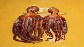 A sticky problem: Boom in taste for octopus squeezes market