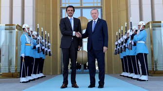 Qatar promises $15 bln direct investment in Turkey