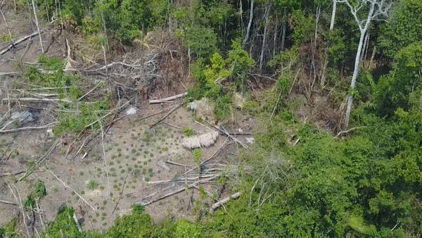 WATCH: Brazil Tribe Drone Footage for the first time in history