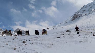Yaks in Pakistan’s northern Hunza valley on a snow-covered mountain near the border in the Wakhan Corridor on October 12, 2017. (AFP)