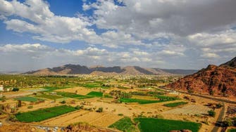IN PICTURES: Beautiful panoramic views of Saudi Arabia’s Najran oasis