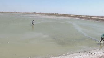 Water pollution lays waste to Iraq's oil-rich south