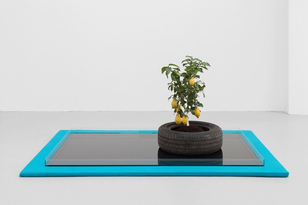 Lydia OURAHMANE_ Land of the Sun, 2014. Installation (Perspex, Recycled Engine Oil, Lemon Tree, Tyre 1.54m x 2.13m) Courtesy of the artist, Photo_ Gunnar Meier
