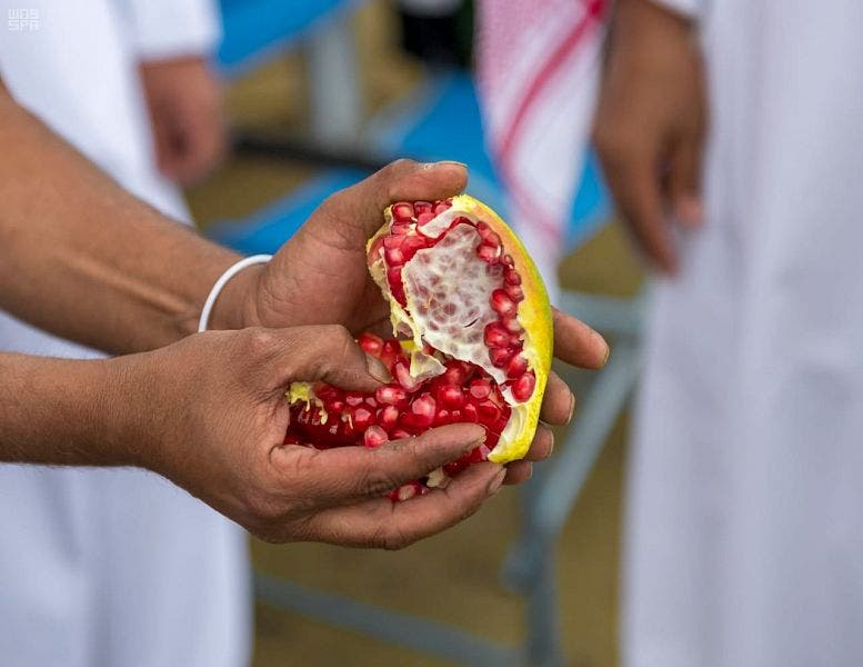 Pomegranate Saudi Arabia. (Supplied)