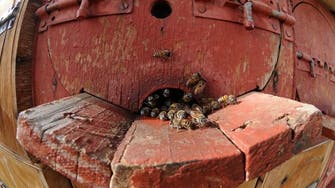 Beekeepers in Saudi Arabia’s Asir embark on seasonal honey journey