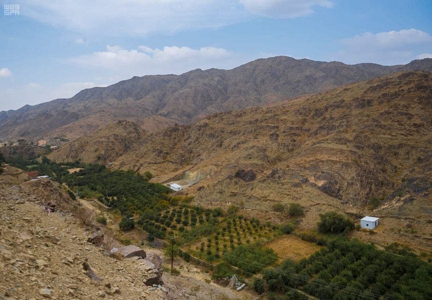Pomegranate Saudi Arabia. (Supplied)