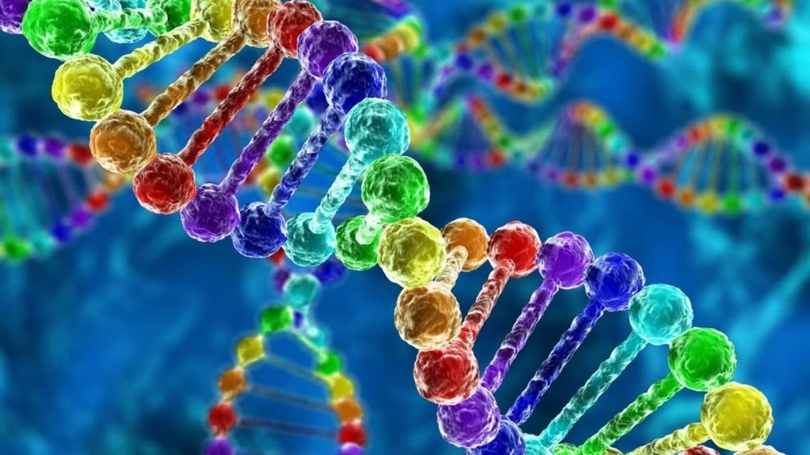 Genome sequencing is the process of determining the complete DNA sequence of an organism’s genome at a single time. (Shutterstock)