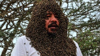 Fully ‘dressed in bees,’ why this Saudi failed his Guinness World Record attempt