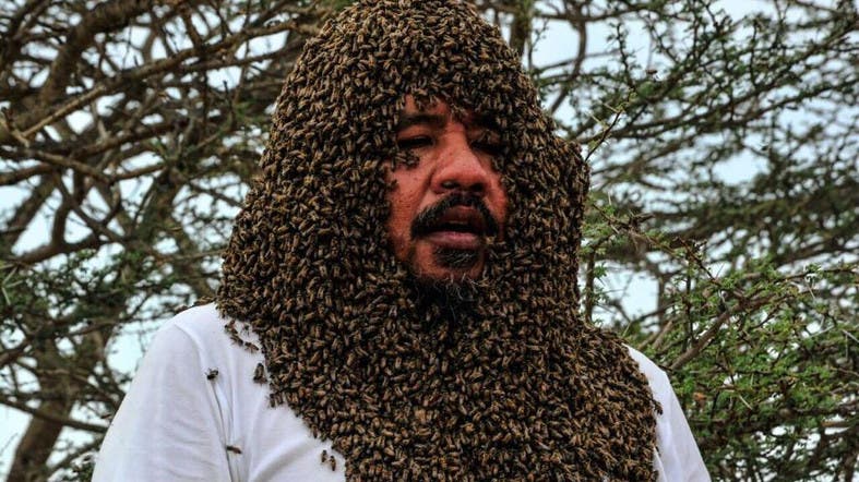 Fully ‘dressed In Bees Why This Saudi Failed His Guinness World Record Attempt Al Arabiya