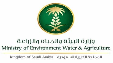 وزارة البيئة والمياه والزراعة السعودية 