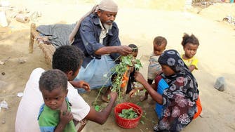 Houthi restrictions push UN to suspend crucial cash aid to 9 mln Yemenis