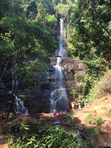 A fall amid coffee plantations in Chickmagalur. (Supplied)