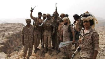 Yemen’s army kills eight Houthi field commanders on West coast front