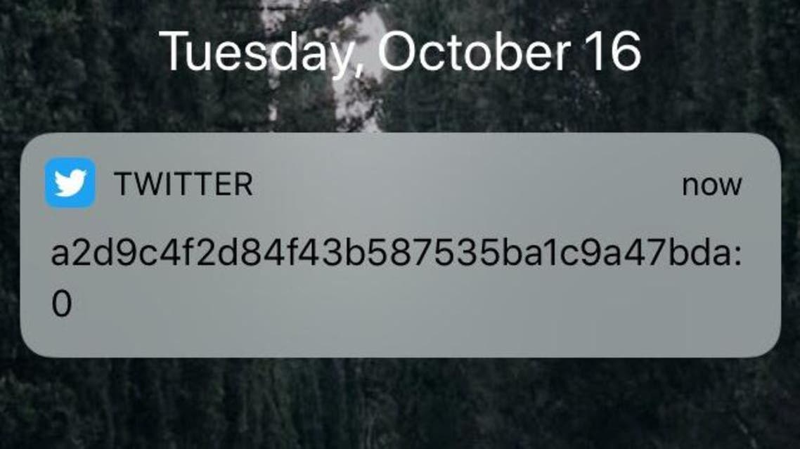 twitter bug