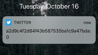 Twitter baffles users after sending notifications with random characters