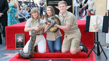 Terri Irwin, Bindi Irwin and Robert Irwin attend Steve Irwin being honored posthumously with a Star on the Hollywood Walk of Fame on April 26, 2018 in Hollywood. (AFP)