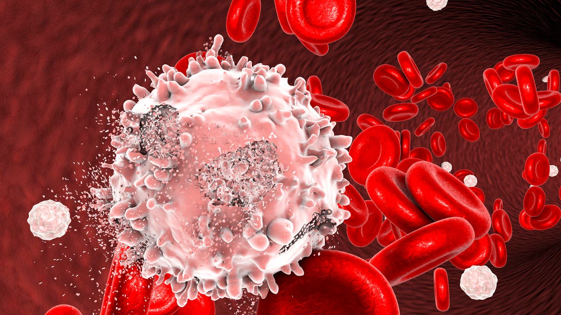 Destruction of leukaemia cell - Stock image
