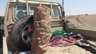Houthis disguise mines as palm tree trunks near Yemen’s Hodeidah