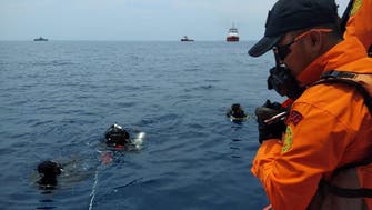 Human remains recovered from Lion Air plane crash