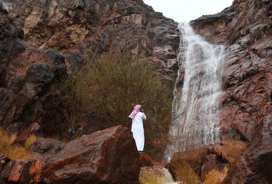 Saudi Medina nature rainfall 1 (Supplied)