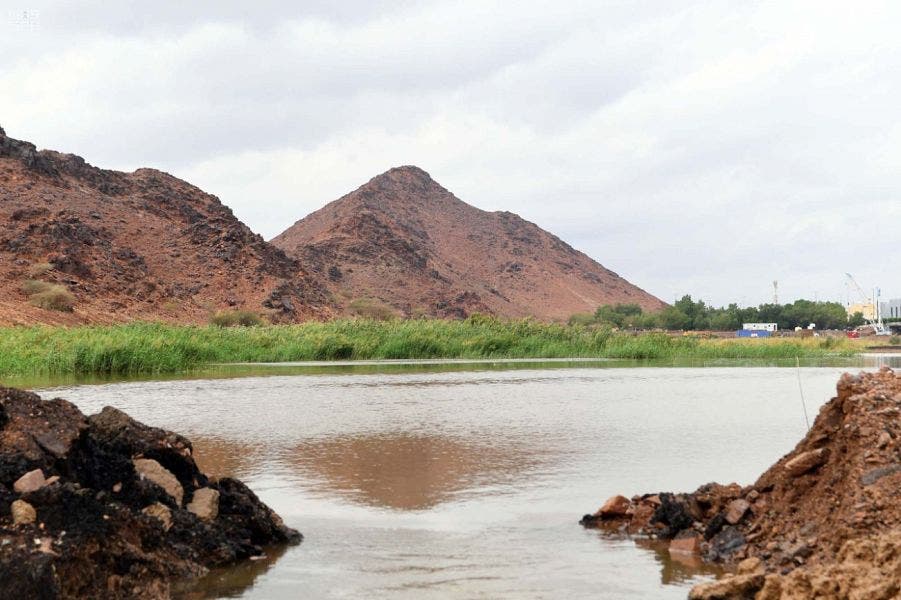 Saudi Medina nature rainfall 6 (Supplied)