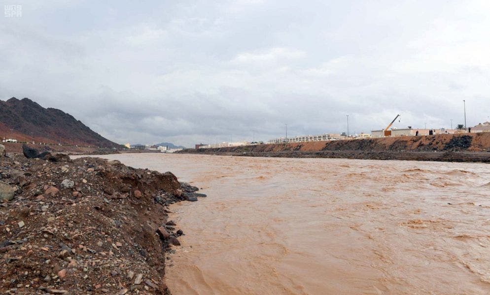Saudi Medina nature rainfall 4 (Supplied)