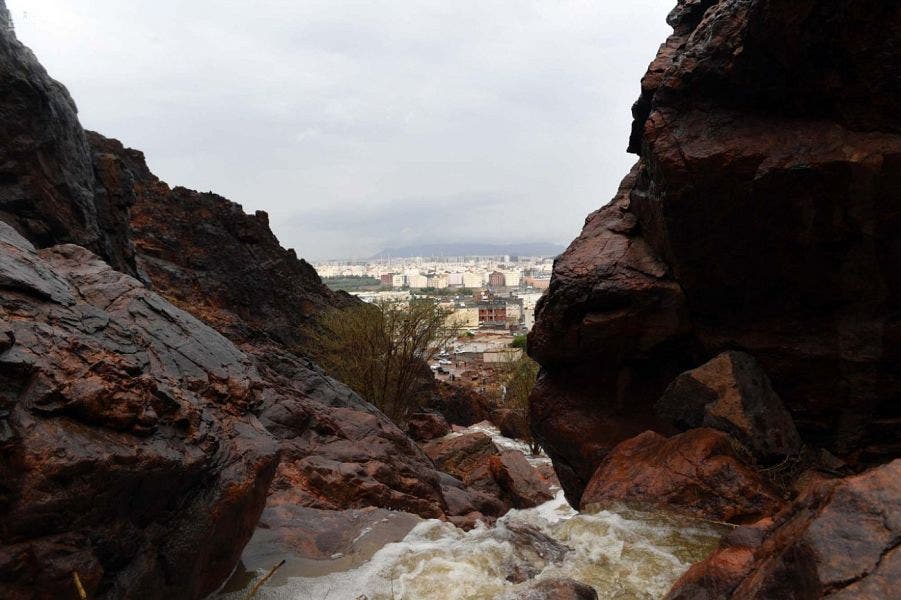 Saudi Medina nature rainfall 2 (Supplied)