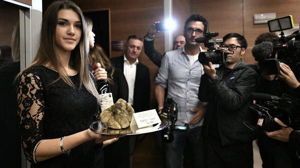 'Exceptional' Italian white truffle sold for $96,000 | Al ...