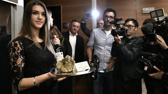 ‘Exceptional’ Italian white truffle sold for $96,000