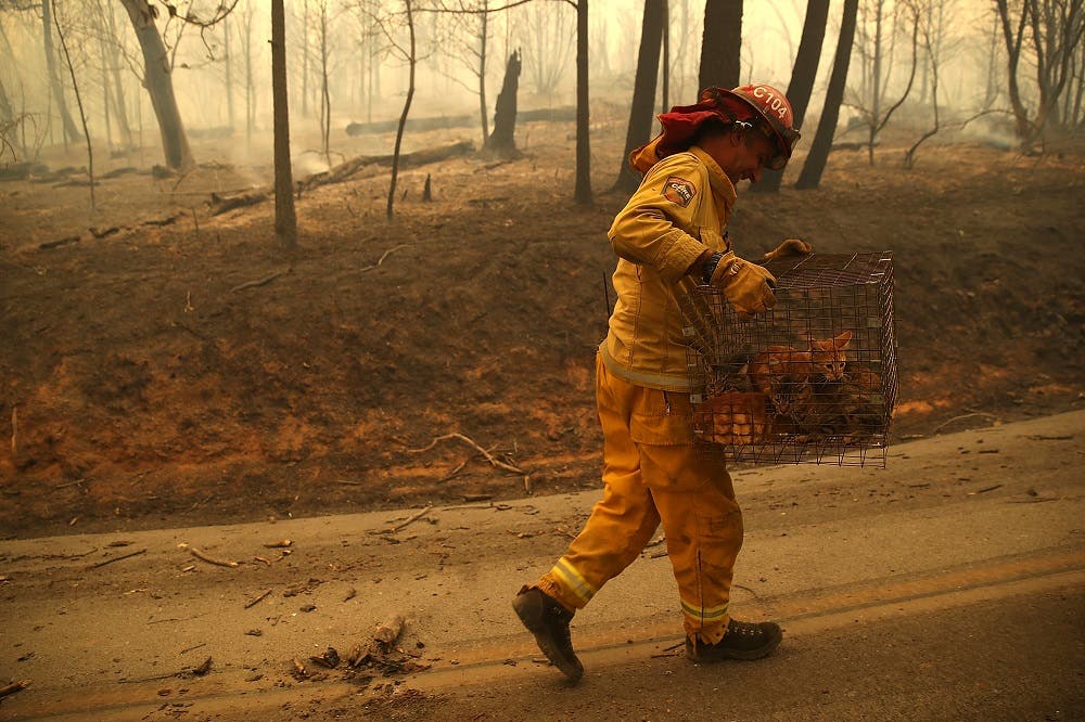 Death toll in Northern California rises to 23 as wildfires ravage state AFP