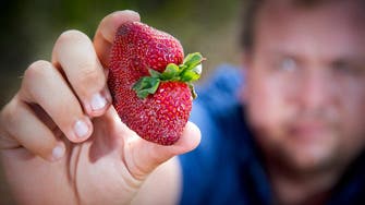 Woman charged over Australia strawberry needle scare