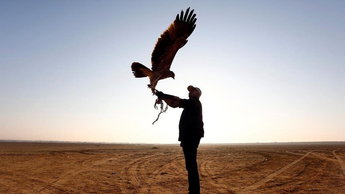 Egypt falcon club. (Reuters)