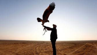Egyptians celebrate falconry heritage