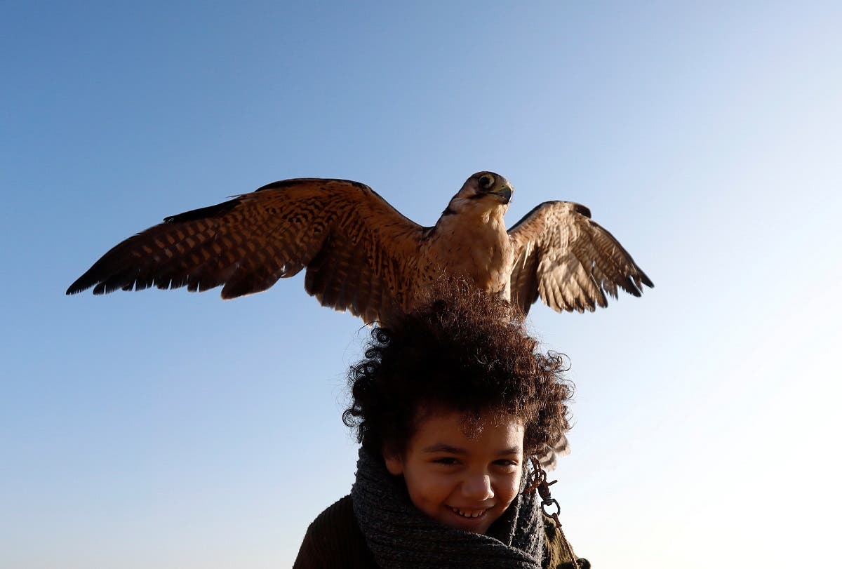 Egypt falcon club. (Reuters)