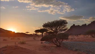 Saudi PIF reveals ‘Wadi Al Disah’ project in Mohammed bin Salman Natural Reserve