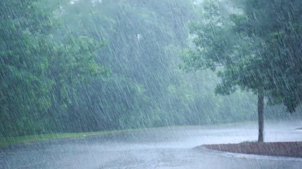 نصف أمطار العالم السنوية تهطل خلال 12 يوماً فقط