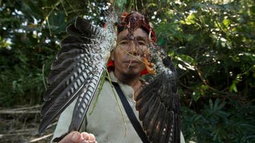 Northeastern India falcon hunters turn protectors