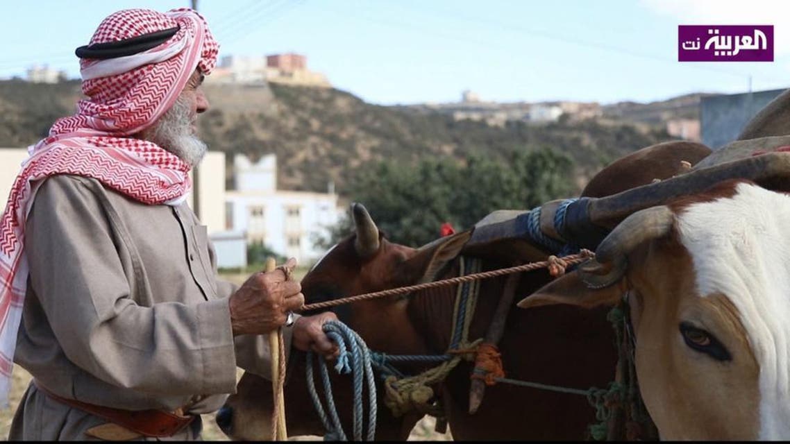سعودی عرب