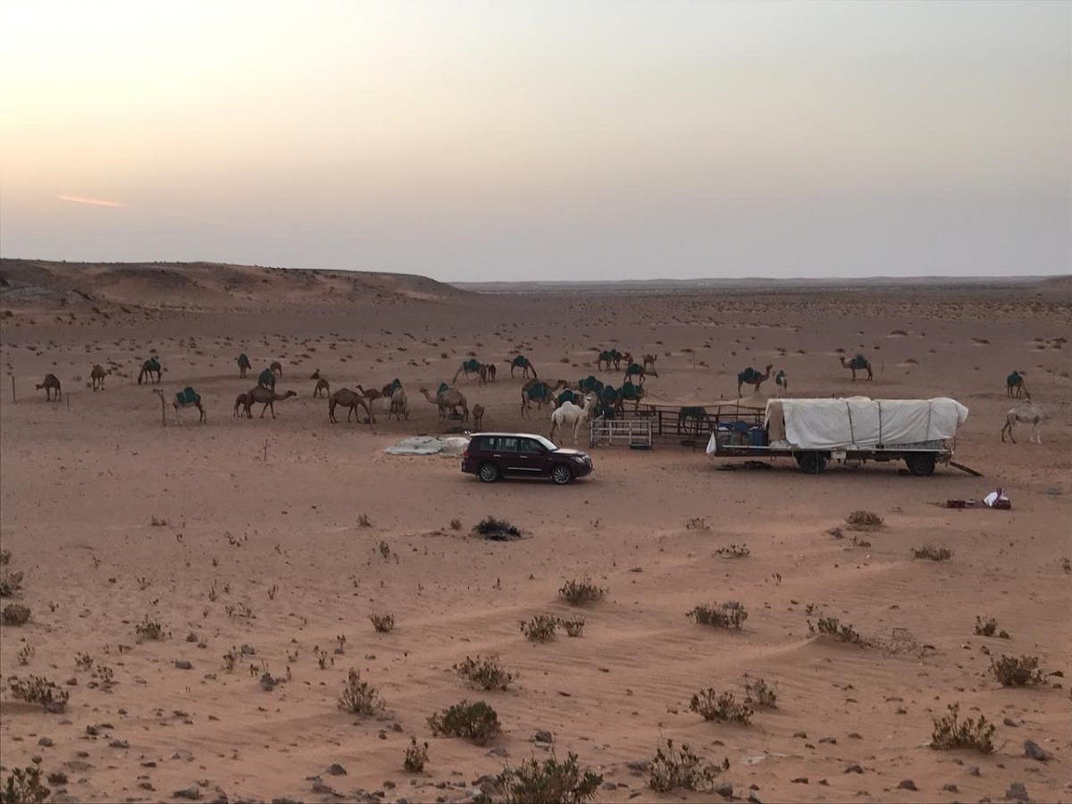 bedouin 7 (Supplied)