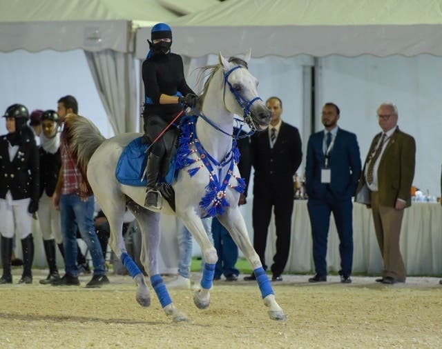 42+ Horse stable in jeddah ideas