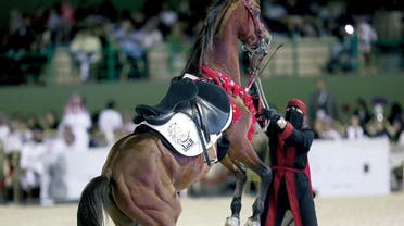 Saudi women horse rider 10 (Supplied)