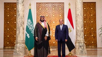 Syrian crisis topped talks between Saudi Crown Prince, Egyptian president at G20